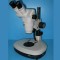 NSZ-1065DBL雙眼立體顯微鏡-定格變倍-上下光源