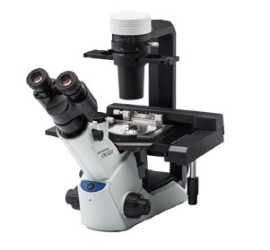 CKX53－倒立顯微鏡