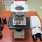 Leica DM500 生物顯微鏡