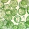 Axio Vert.A1 生物用