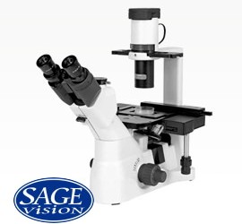 XD系列倒立生物顯微鏡