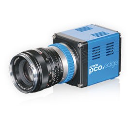 pco.edge 3.1