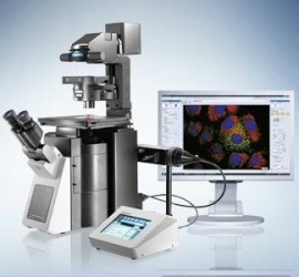 IX83-高階活細胞研究用倒立顯微鏡