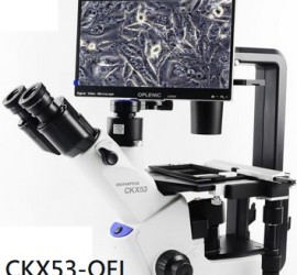 CKX53-OFL3 倒立螢光顯微鏡(選配影像系統 SG-LM20)