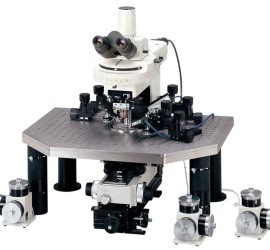 Nikon Eclipse FN1 電生理正立顯微鏡