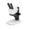 Leica EZ4 大專院校入門級教育用立體顯微鏡 Leica EZ4 大專院校入門級教育用立體顯微鏡