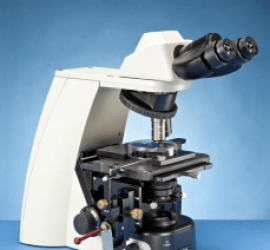 真菌四分體採集顯微鏡 真菌四分體採集顯微鏡