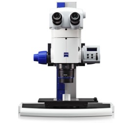 SteREO Discovery.V12