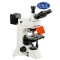 L3201-LED正立螢光顯微鏡
