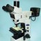 Olympus CX-41 金相顯微鏡